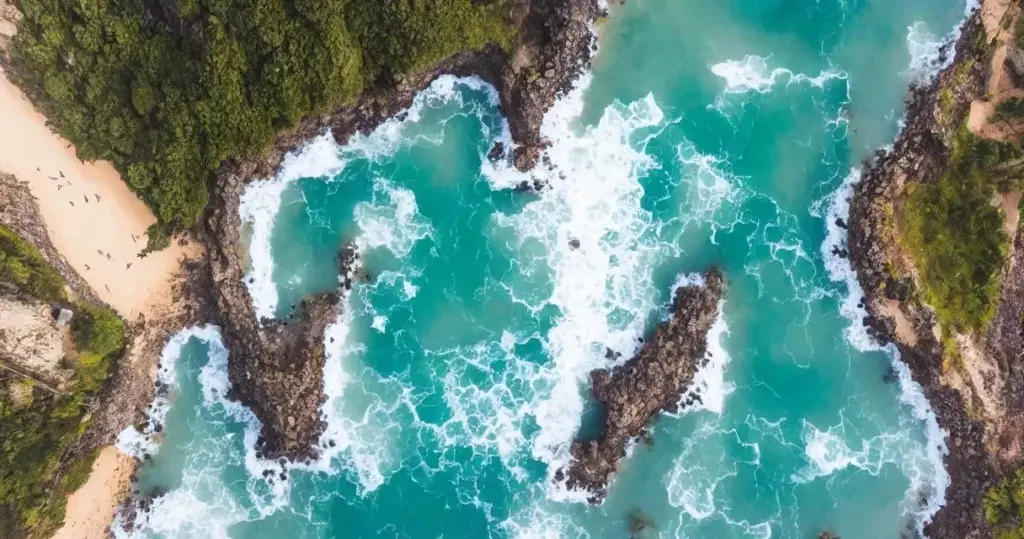 10 fakta om Nyctosaurus, du ikke vidste