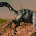 Bahariasaurus: En dansk dinosaur med en unik placering i historien