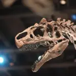 En rejse tilbage i tiden: Sådan levede Camarasaurus i Danmark