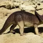 Fascinerende fakta om Daspletosaurus: En dinosaur i danskernes hjerter