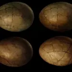 Fascinerende fakta om Suchomimus – en guide til den danske dinosaurs liv og levevis