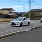 Hvordan kan vi bruge Hesperornithoides til at forudsige fremtidige evolutionære udviklinger?