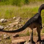 Muttaburrasaurus’ jagtteknik: En unik tilpasning blandt dinosaurer
