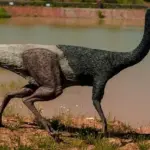 Opdag Hemmelighederne Bag Hypsilophodon – Dinosauren fra Danmark