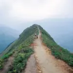 Opdag Sinraptor – En Fascinerende Dinosaur for Alle Aldre