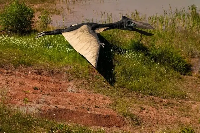 Spændende trivia om Albertosaurus - Dinosaurens danske guide
